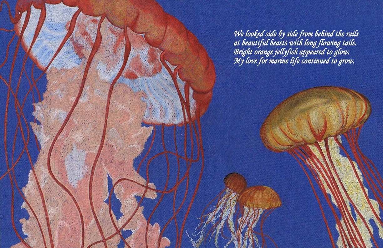 Monterey Bay Children's Book Illustration